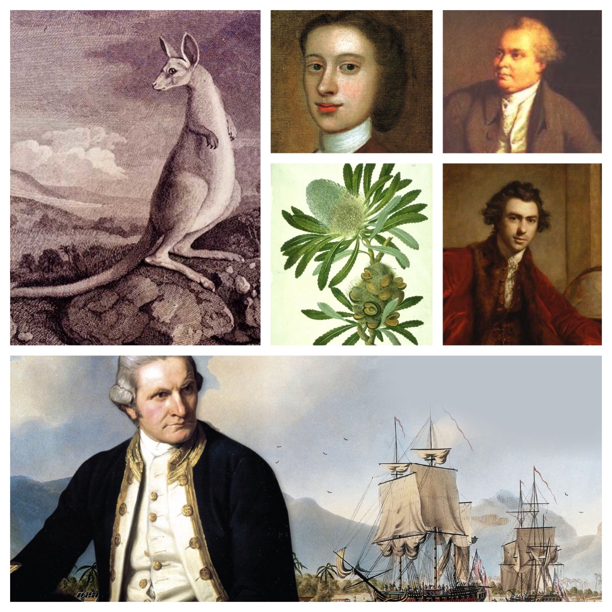 “We weigh’d and run into the Harbour”. Cook, the Endeavour, and the Guugu Yimithirr