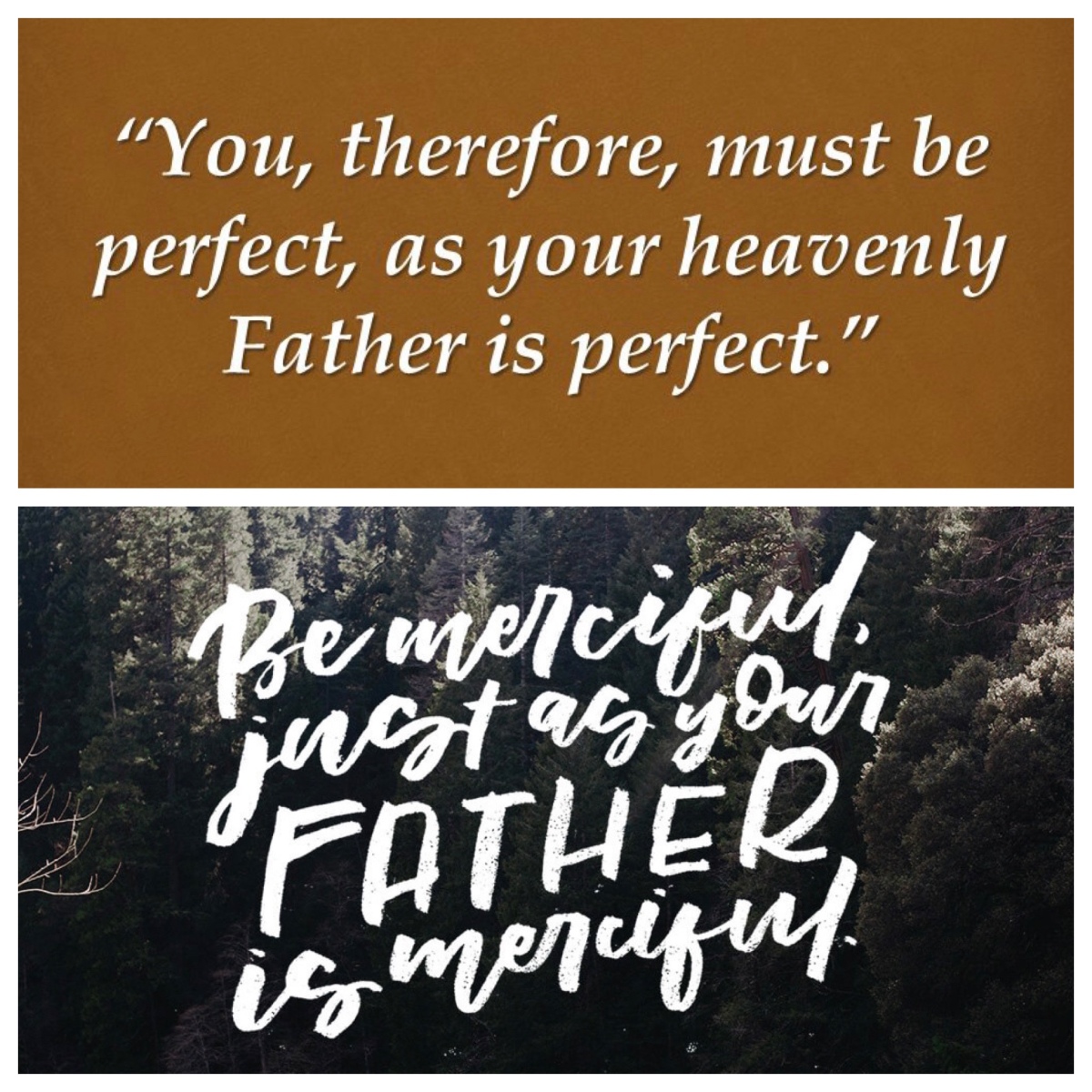 Perfect, or merciful? The challenge Jesus poses (Matt 5, Epiphany 7A; Luke 6, Epiphany 7C)