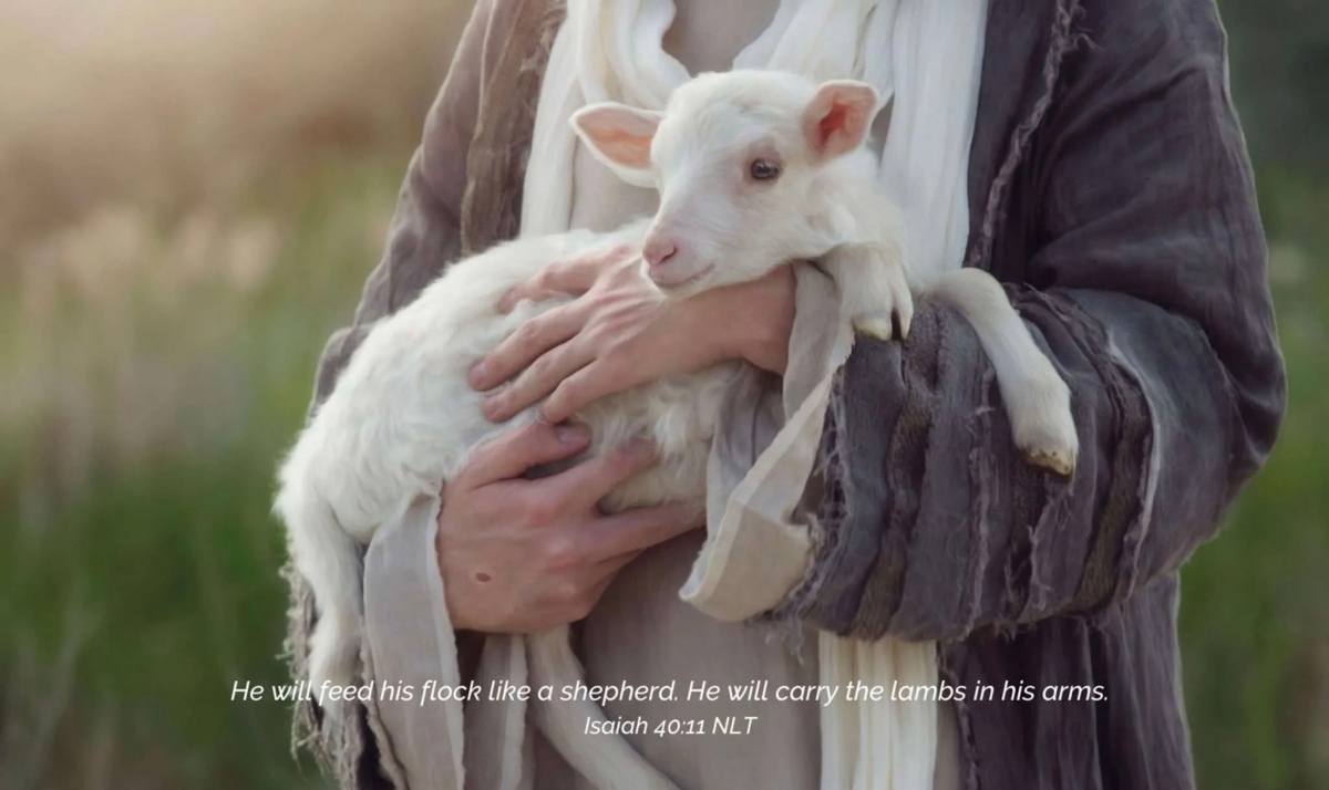 He will feed his flock like a shepherd (Isa 40; Advent 2B)
