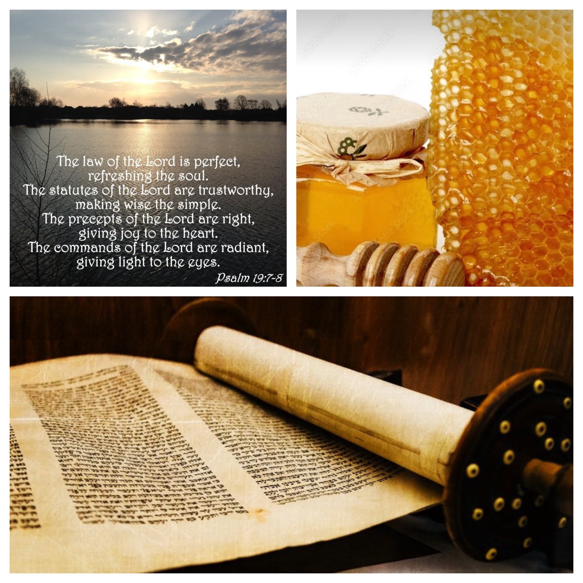 In praise of Torah (Psalm 19; Lent 3B)