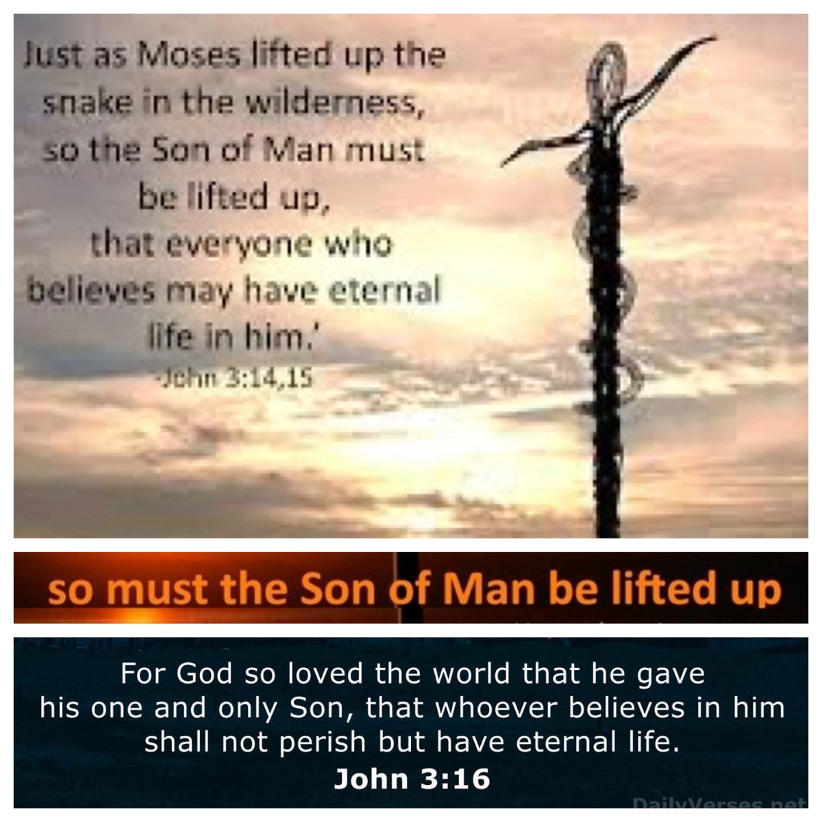 Lifted up in the wilderness (Num 21; John 3; Lent 4B)