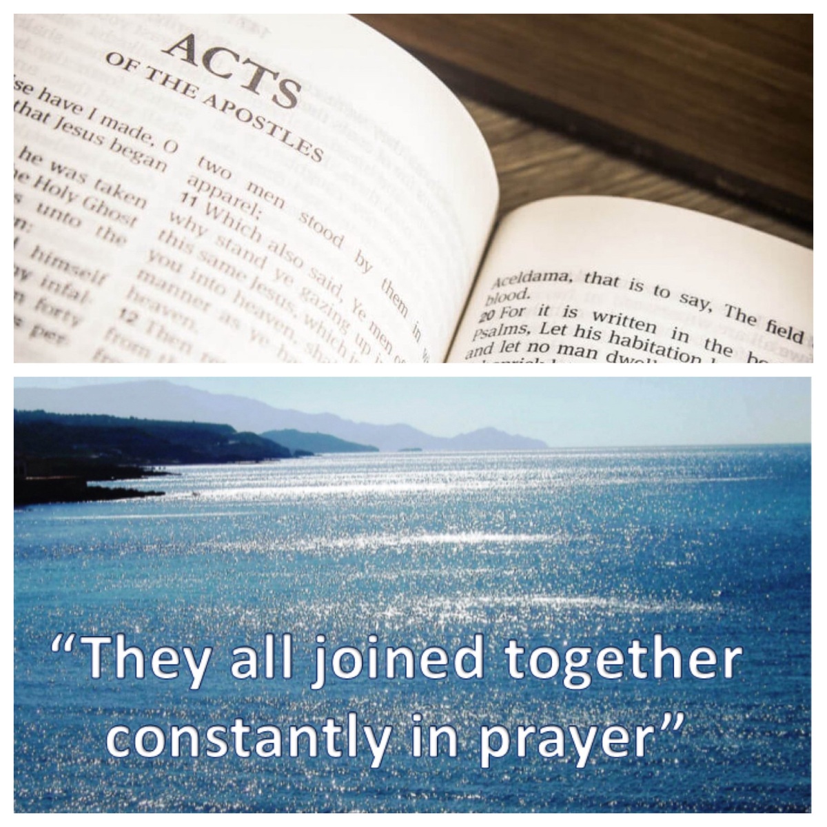 Constantly devoting themselves to prayer (Acts 1; Narrative Lectionary for Easter 2)